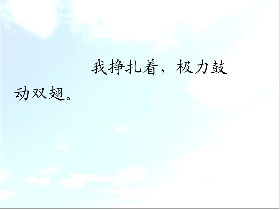 生命---生命_第3页