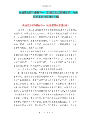 先进团支部申报材料