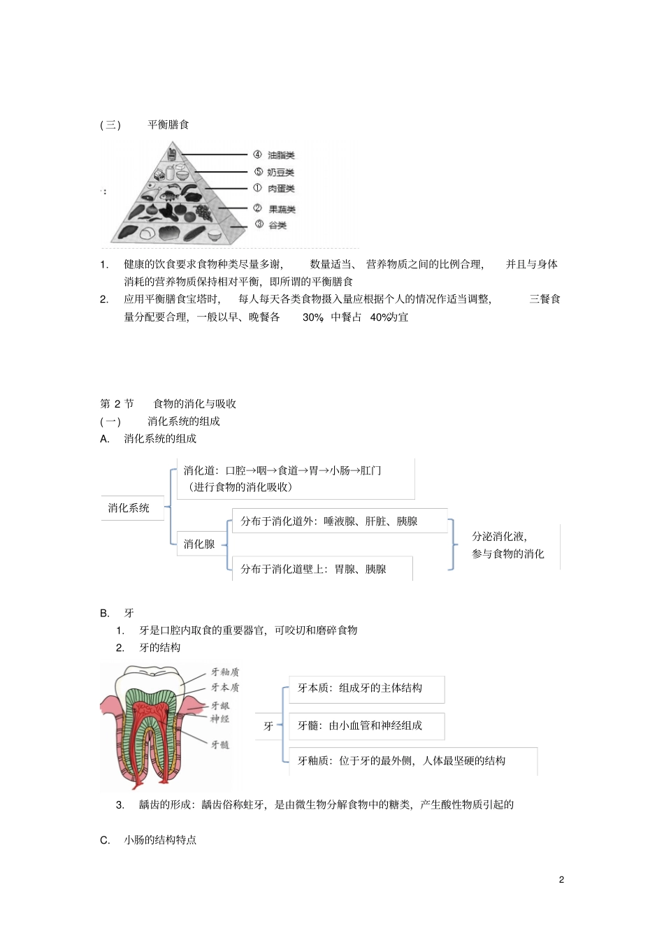 九年级科学上册代谢与平衡知识点归纳新版浙教版_第2页