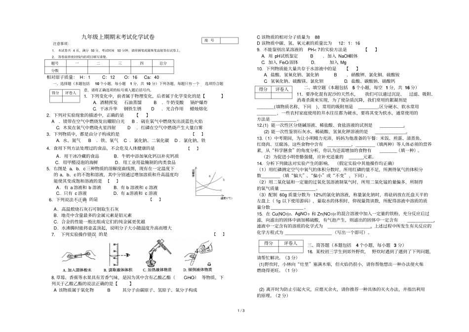 九级化学质量测试卷_第1页