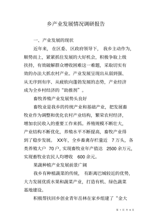 乡产业发展情况调研报告