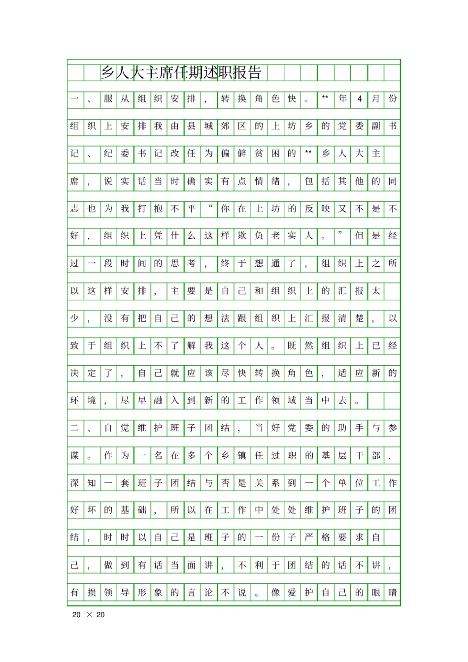 乡人大主席任期述职报告精品工作报告_第1页