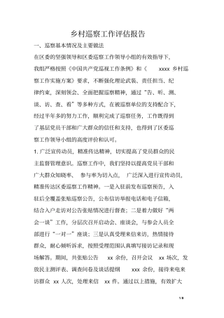 乡村巡察工作评价报告