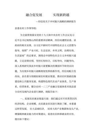 乡村振兴调研报告