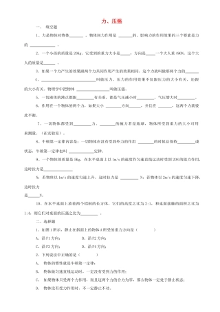 中考物理专题复习 力、压强试卷