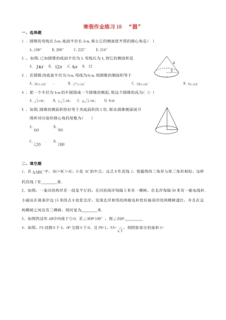 九年级数学寒假作业试卷(10) 新人教版试卷