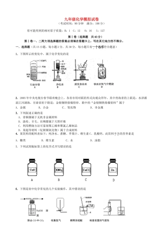 九年级化学模拟试卷 苏教版试卷