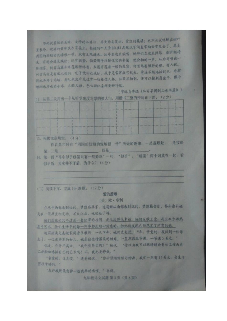 山东省菏泽市东明县九年级语文下学期第二次模拟考试(5月)试卷试卷_第3页