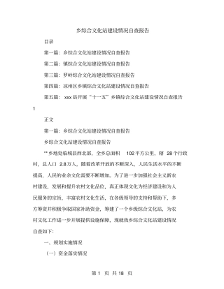 乡综合文化站建设情况自查报告