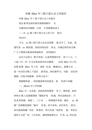 乡镇XX年三级干部大会工作报告