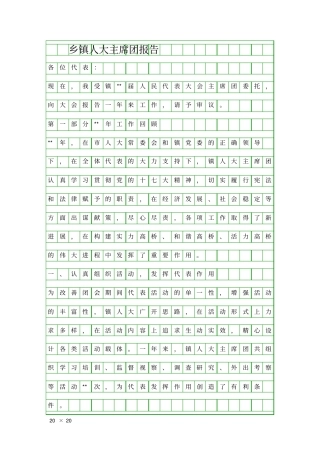乡镇人大主席团报告精品工作报告
