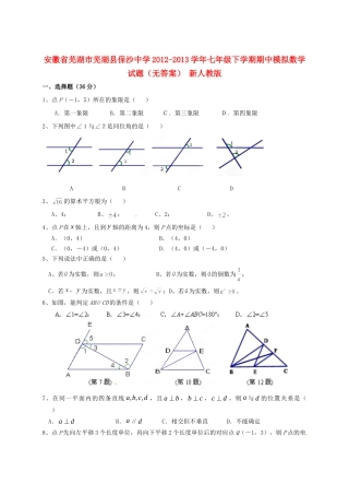 安徽省芜湖市芜湖县七年级数学模拟试卷 新人教版试卷
