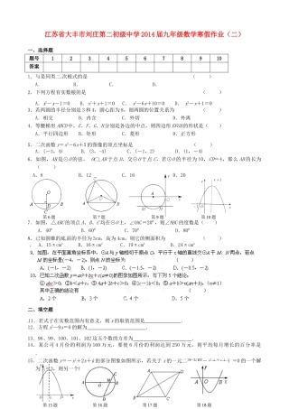 九年级数学寒假作业(二)试卷