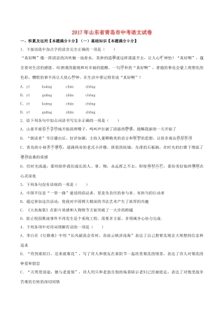 山东省青岛市中考语文真题试卷试卷(00002)