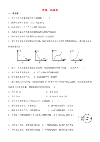中考物理专题复习 透镜、热现象试卷