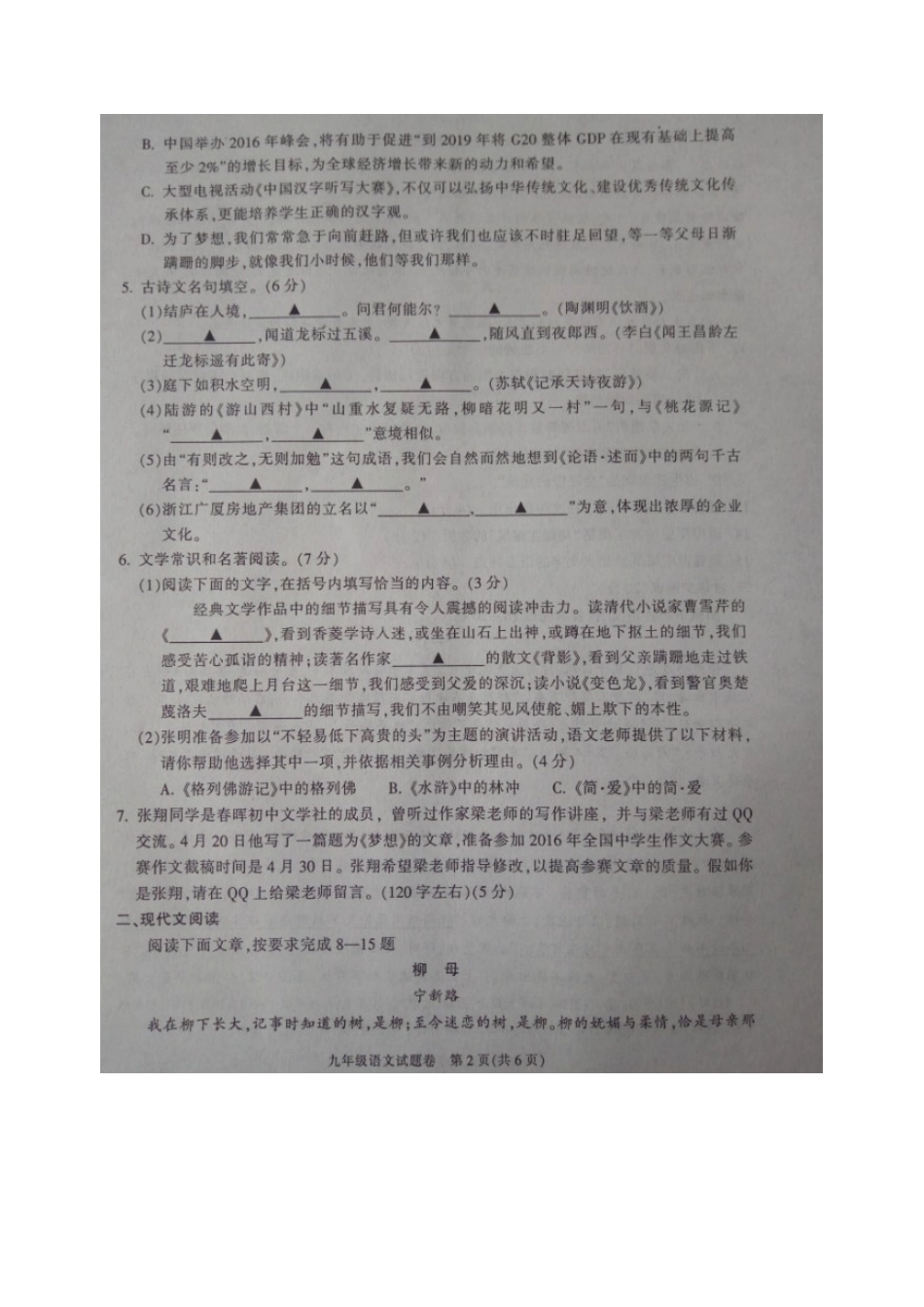 中考语文教学质量检测(二模)试卷试卷_第2页