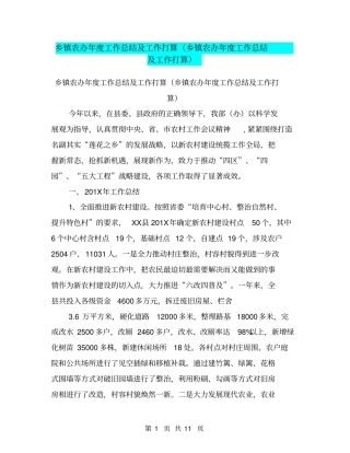 乡镇农办年工作总结及工作打算乡镇农办年工作总结及工作打算【可编辑版】