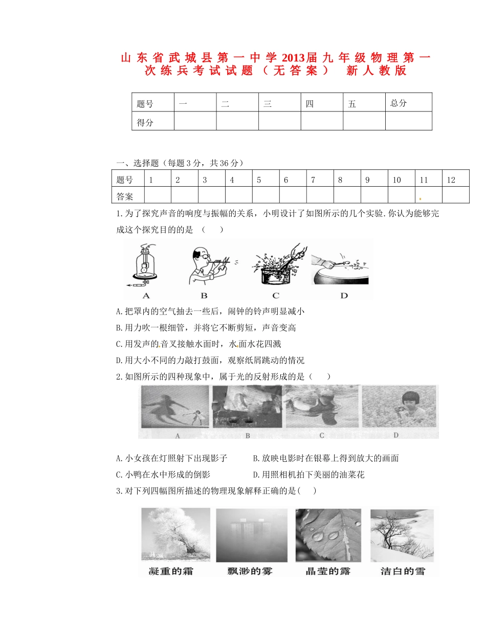 山东省武城县九年级物理第一次练兵考试试卷 新人教版试卷_第1页
