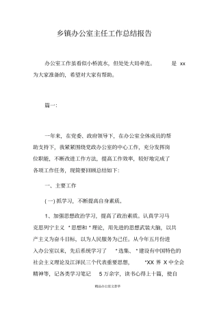乡镇办公室主任工作总结报告