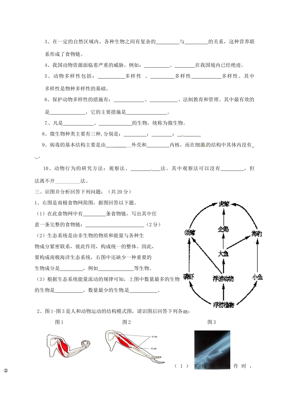 四川省成都七中实验学校八年级生物上学期期中试卷 新人教版试卷_第3页