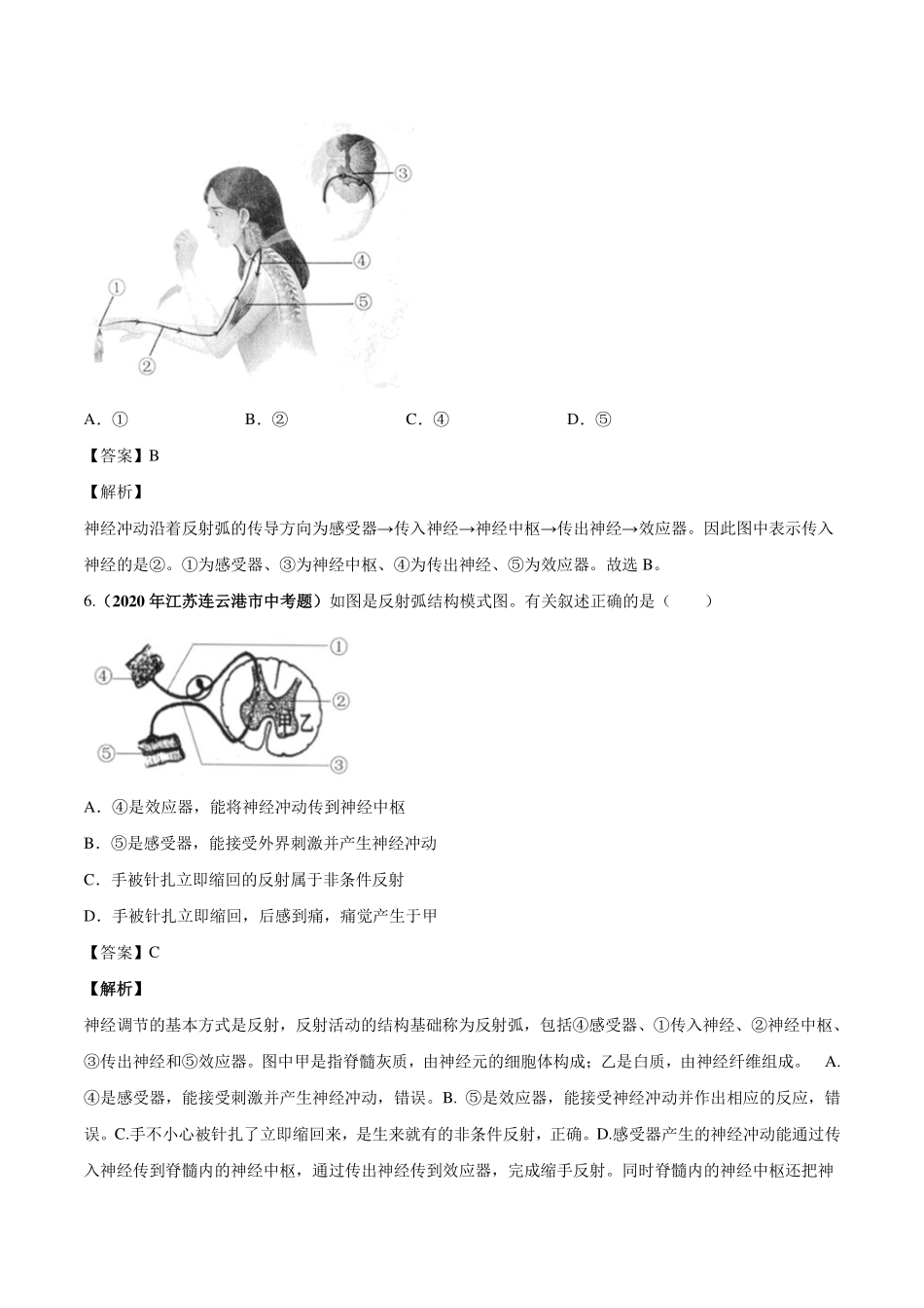 中考生物真题汇编 人体生命活动的调节(pdf)试卷_第3页