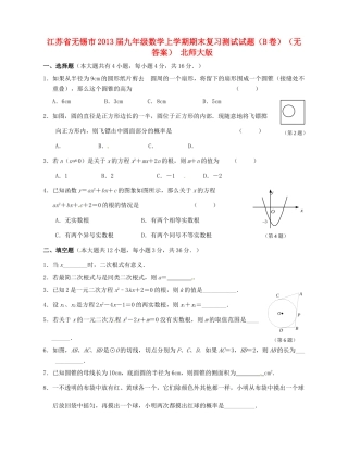 九年级数学上学期期末复习测试试卷(B卷) 北师大版试卷