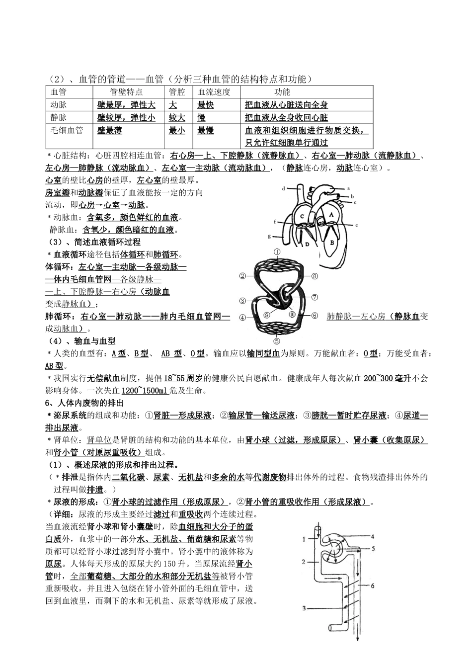 中考生物 复习题纲全套 北师大版试卷_第3页
