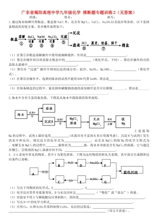 九年级化学 推断题专题训练2试卷