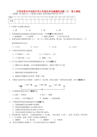 九年级化学自编模拟试卷(2) 新人教版试卷