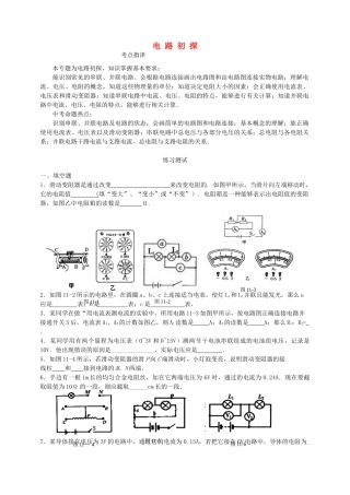 九年级物理上册专题训练十一 电路初探 鲁教版试卷