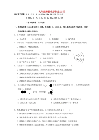 九年级化学上学期寒假作业 第22天 鲁教版试卷