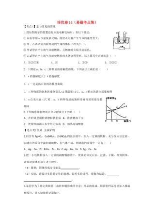 九年级化学培优卷14 新人教版试卷
