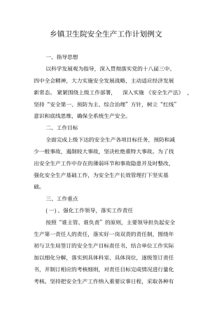 乡镇卫生院安全生产工作计划例文