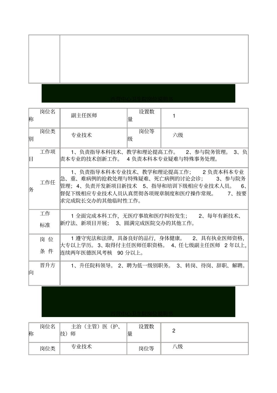 乡镇卫生院岗位职责说明书_第2页