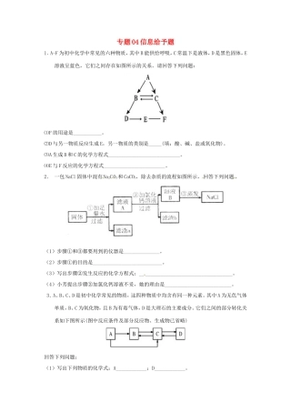 决胜中考化学压轴题揭秘 专题04 信息给予题(预测题，无答案) 试题