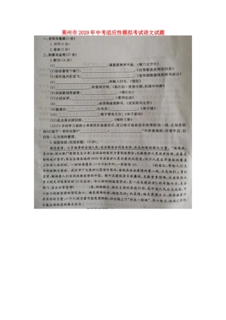 中考语文适应性模拟考试试卷试卷