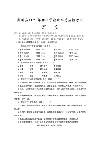中考语文适应性考试试卷(pdf)试卷