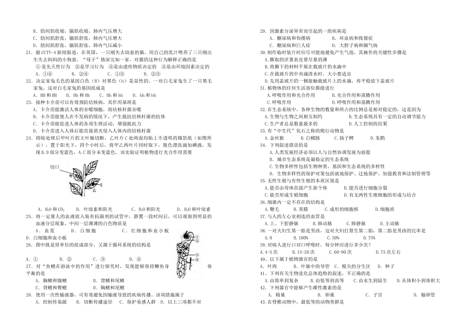 中考生物学业模拟考试卷人教新课标版试卷_第2页