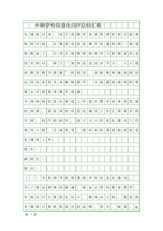 乡镇学校信息化自评总结汇报精品工作报告