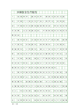 乡镇安全生产报告精品工作报告