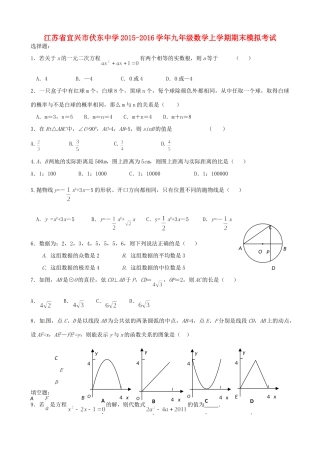 九年级数学上学期期末模拟考试 苏科版试卷