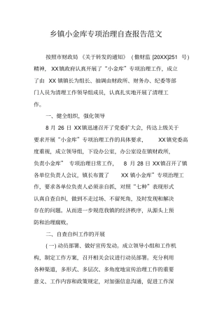乡镇小金库专项治理自查报告范文