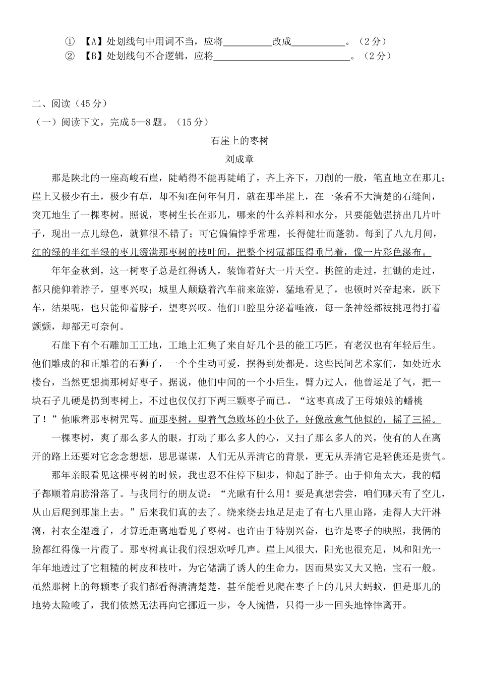 安徽省蚌埠市经济开发区九年级语文上学期期中试卷 新人教版试卷_第2页