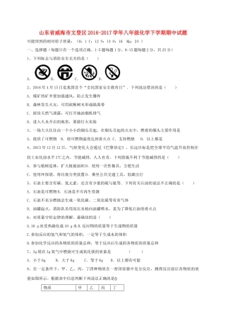 山东省威海市文登区 八年级化学下学期期中试卷(五四制)试卷