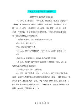 乡镇年工作总结及工作计划【可编辑版】