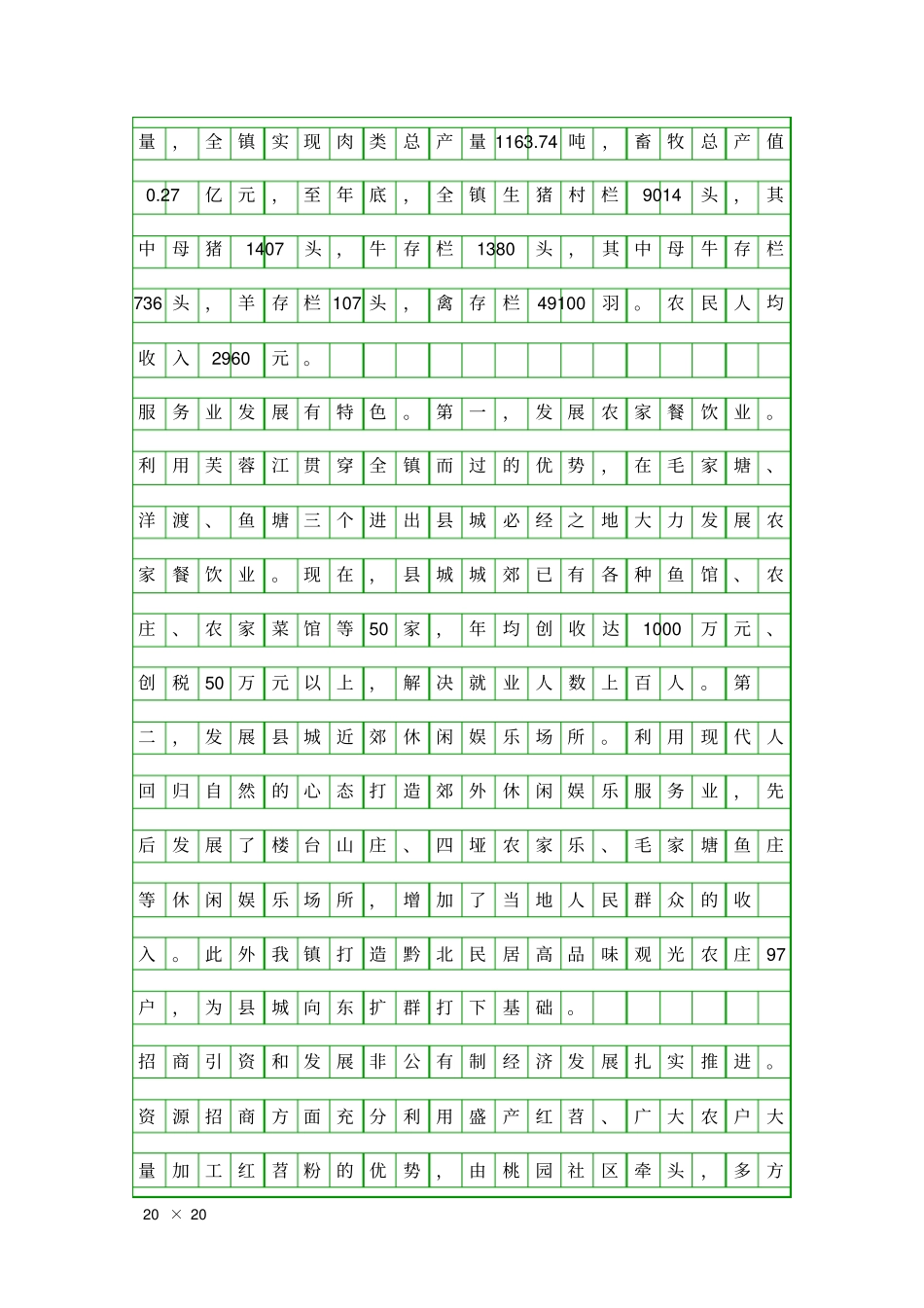 乡镇年工作报告精品工作报告_第2页