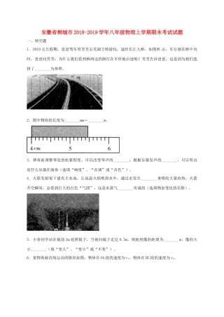安徽省桐城市 八年级物理上学期期末考试试卷