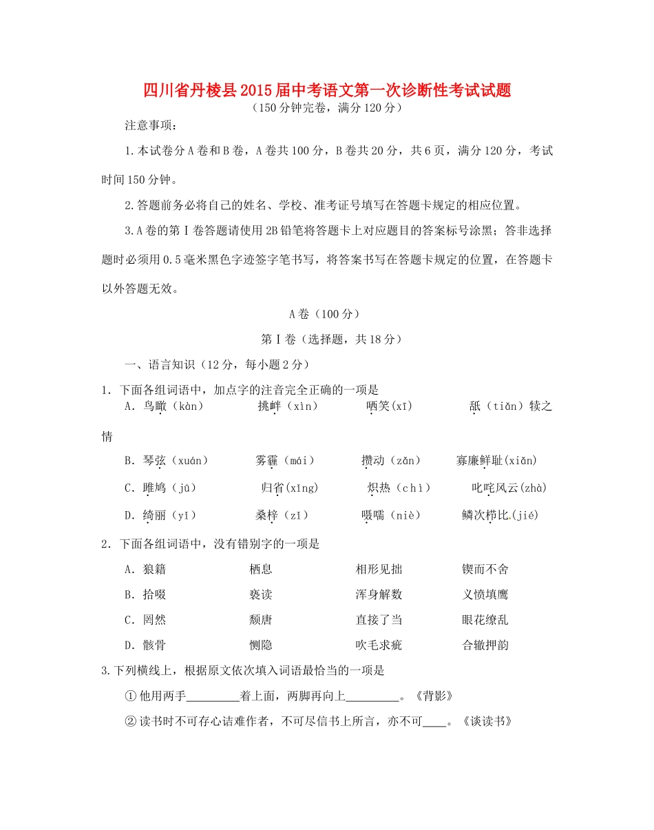 中考语文第一次诊断性考试试卷试卷_第1页