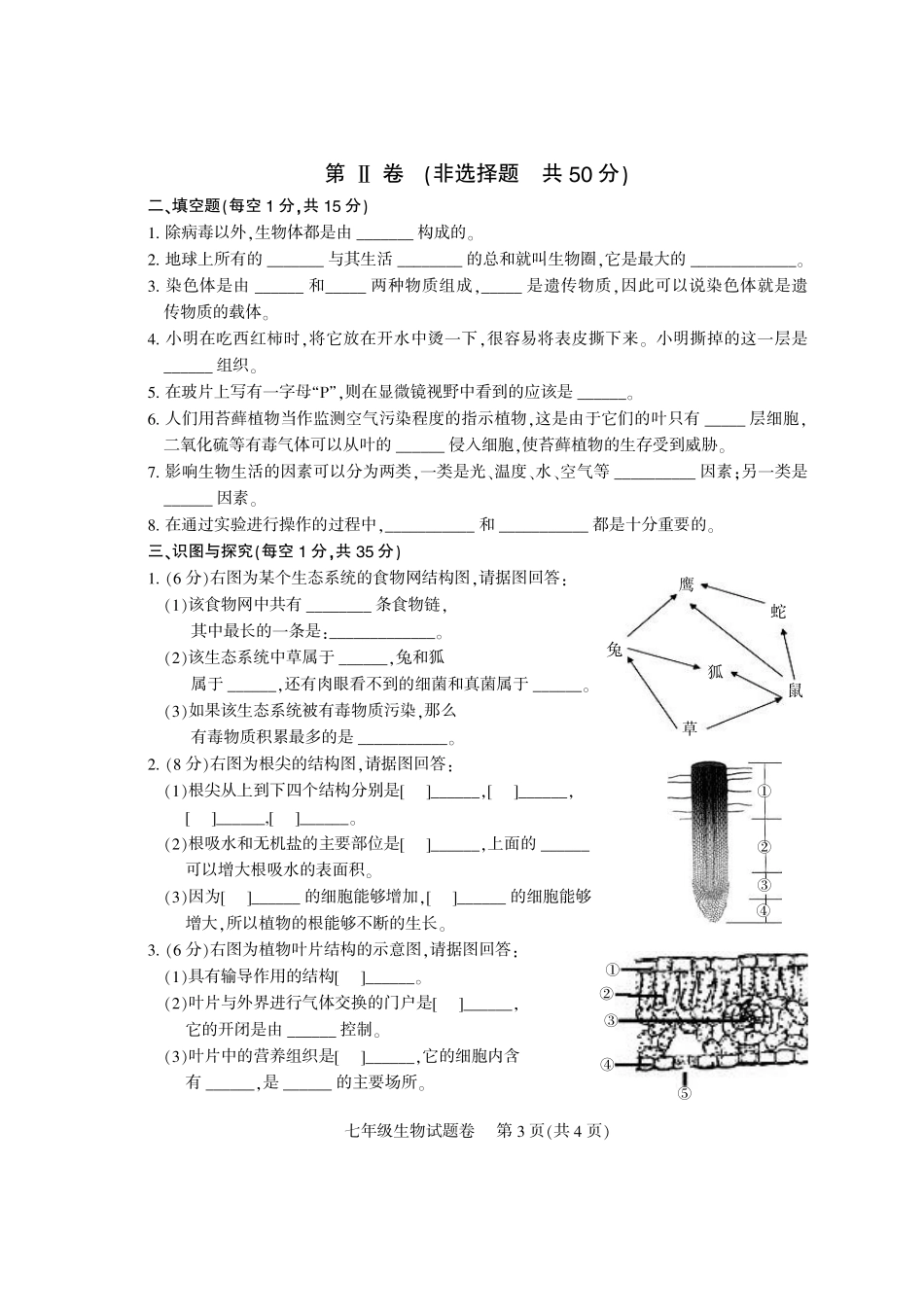 四川省凉山州七年级生物上学期期末检测试卷(pdf) 新人教版 05_第3页