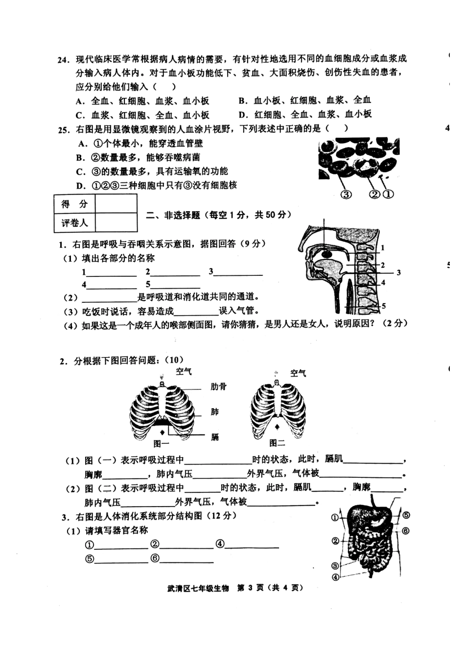 天津市武清区等部分五区七年级生物下学期期中试卷(pdf) 新人教版 天津市武清区等部分五区七年级生物下学期期中试卷(pdf) 新人教版_第3页